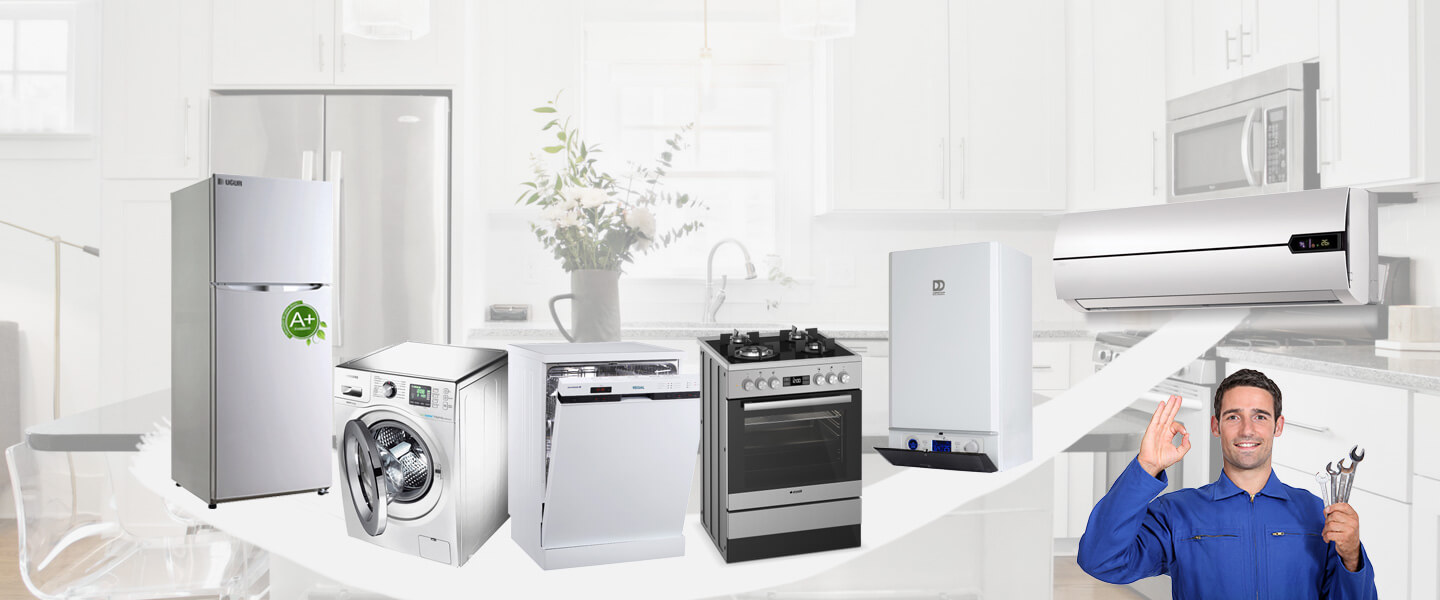 Boyalık Smeg Servisi